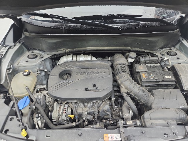 lotterental_170549511_w7Vws_4.jpg