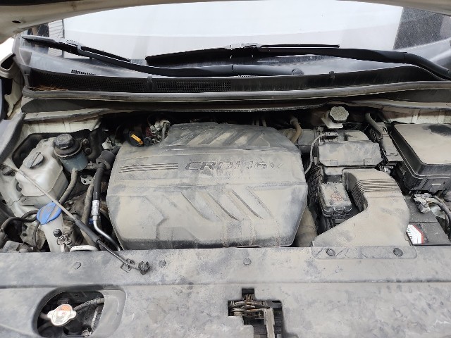 lotterental_174523380_AQmaD_10.jpg