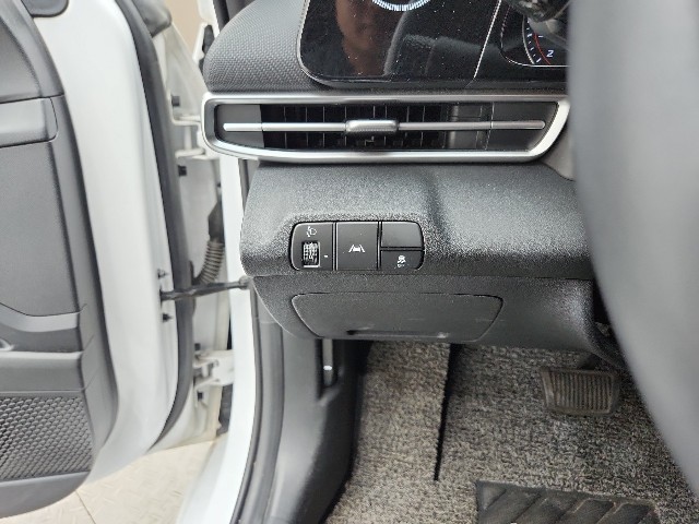 lotterental_153635740_yg6KJ_6.jpg