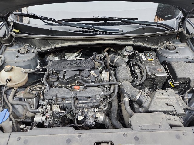 lotterental_140521120_lA1Zc_10.jpg