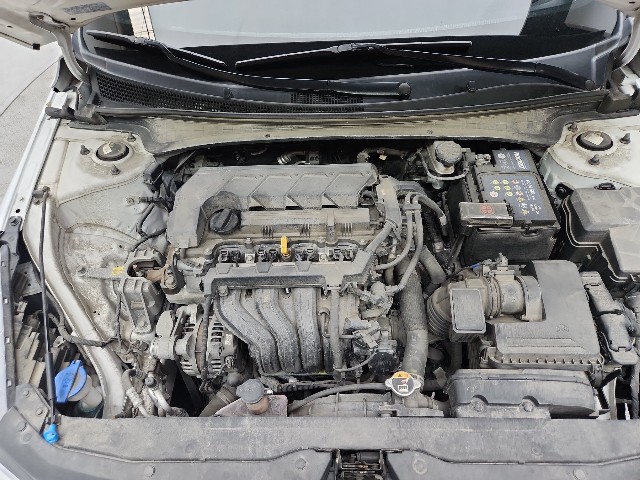 lotterental_162927114_KfpBY_10.jpg
