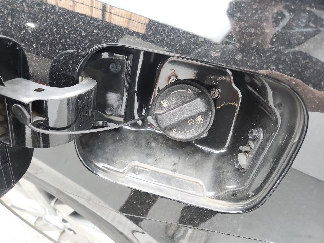 lotterental_102724206_T08my_7.jpg