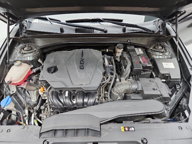 lotterental_111656989_DRPw7_1.jpg