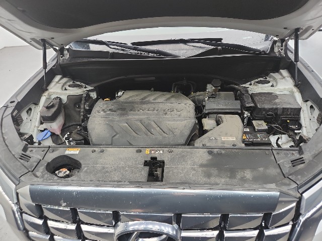 lotterental_134538337_A6UhH_3.jpg