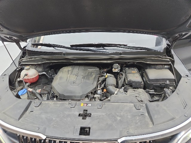 lotterental_164241307_WCILH_10.jpg