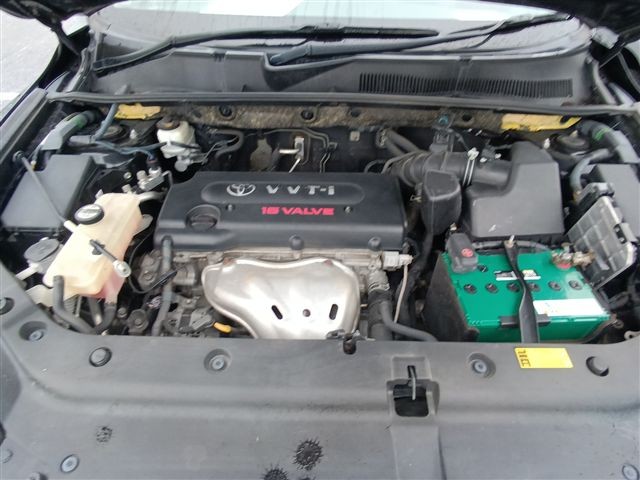08.jpg