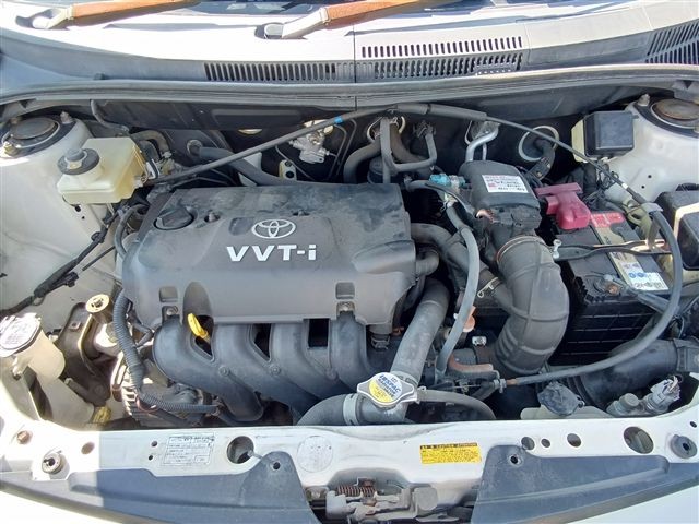 08.jpg