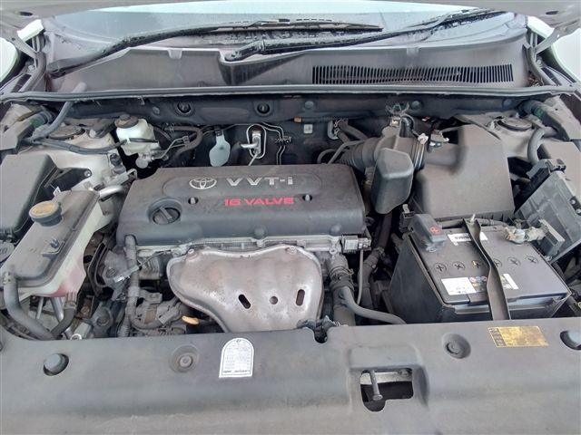 08.jpg
