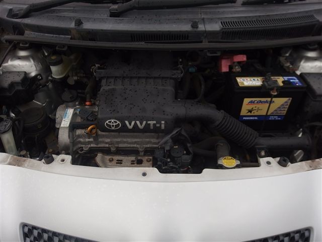 08.jpg