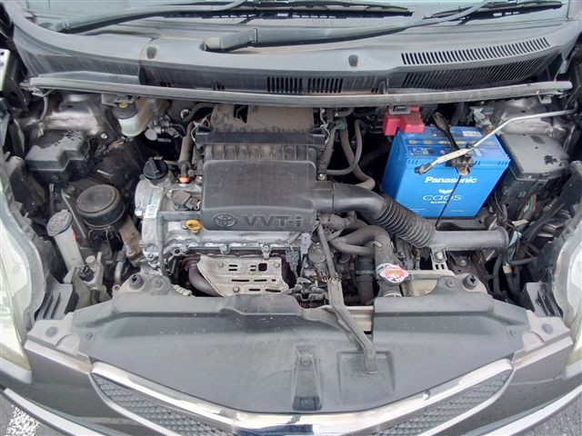 08.jpg
