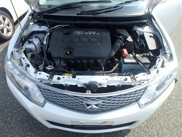 08.jpg