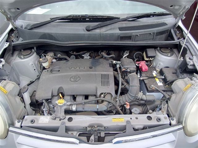 08.jpg