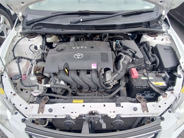 08.jpg