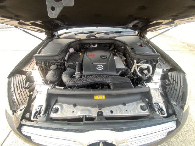8024a215da7503219db1ef2e46a0f343.jpeg