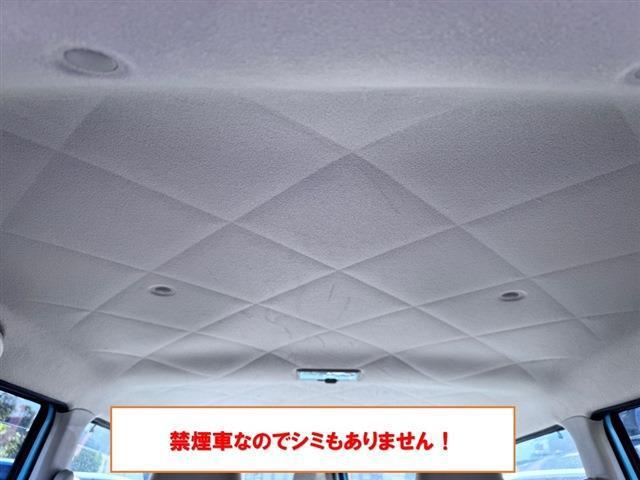 22980528_carP_l_5.jpg