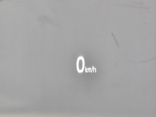 e2157dffd17d3eee6b3ab672b025285e.jpeg