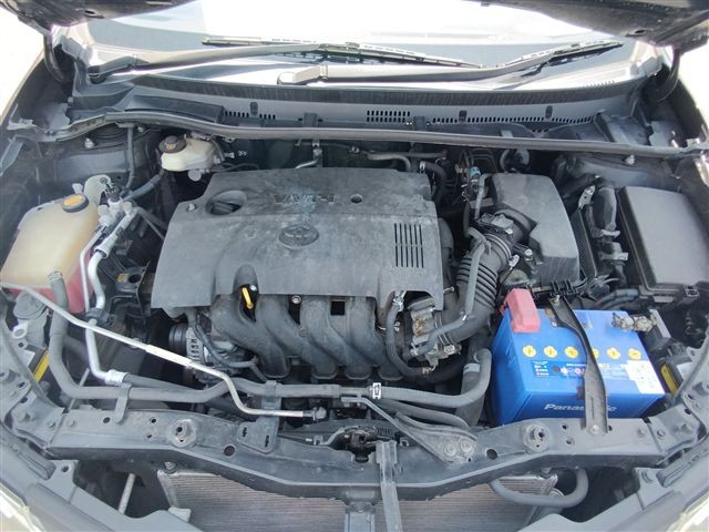 08.jpg
