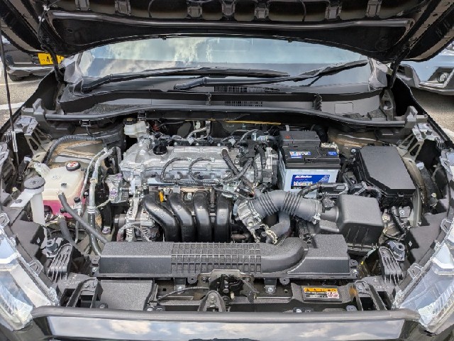 1004007cdd01341b2ef6157327de5c50.jpeg
