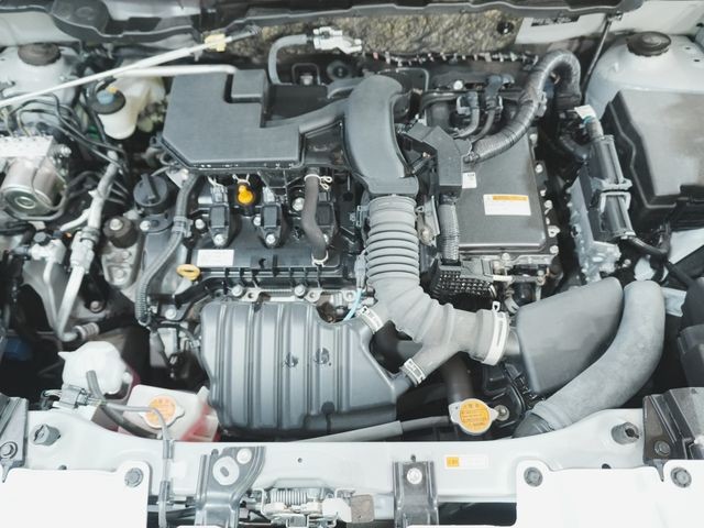 baa8813ab2de52dd227a29eaf14c2c01.jpg