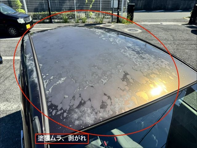 85f440cd9c5bc9c3dfaf9c3adaf68c48.jpg