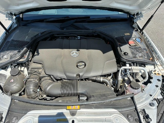 f5947ed1d4a4454abac13e018e755102.jpg