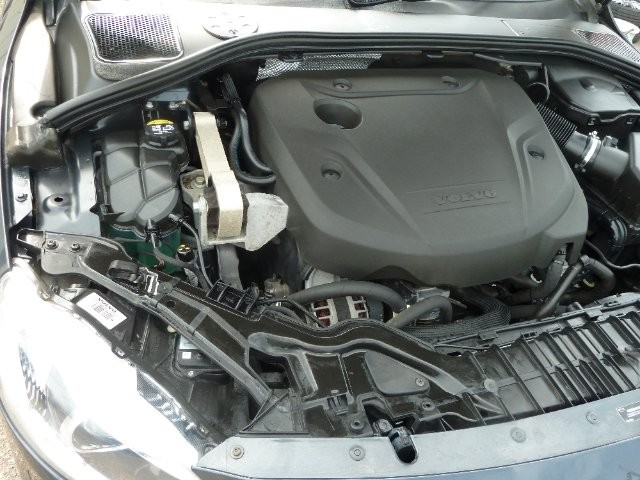 7478521382a57aab1b27d33419a77906.jpg