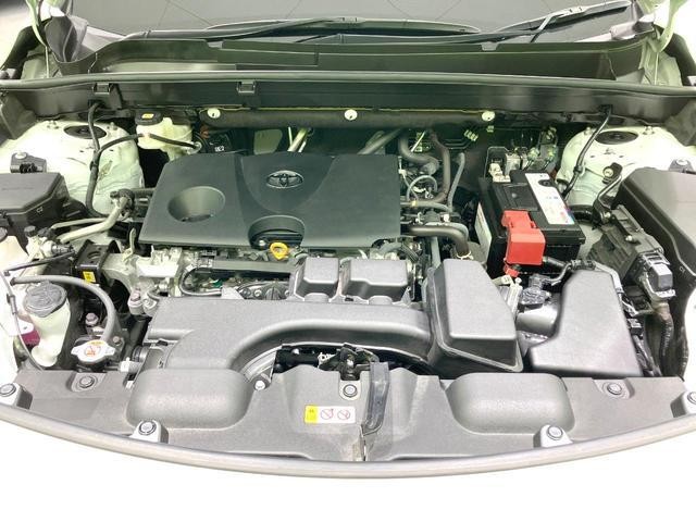 255eb0b405430c37530e565270ff6612.jpg