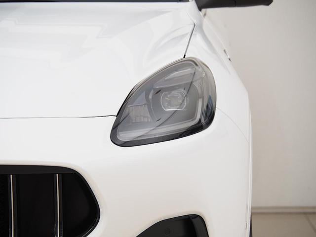 18099964_carP_l_9.jpg