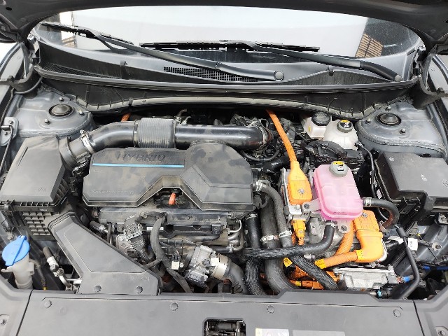 lotterental_144212306_Bu22K_1.jpg