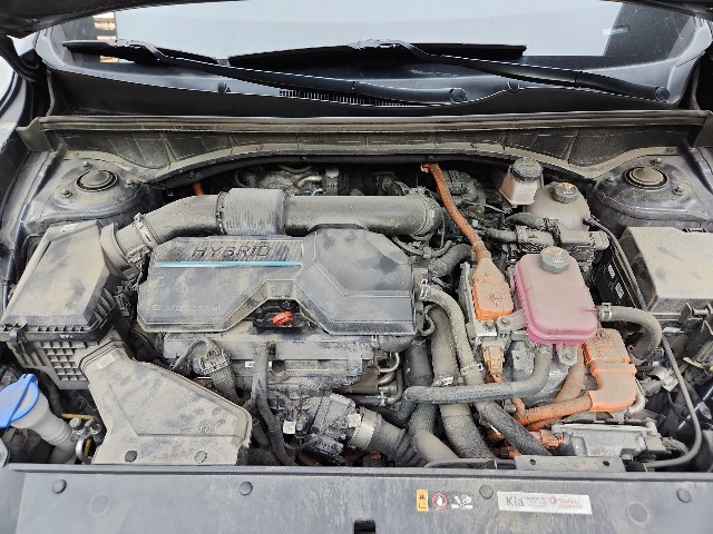 lotterental_210441949_Iuj4o_10.jpg