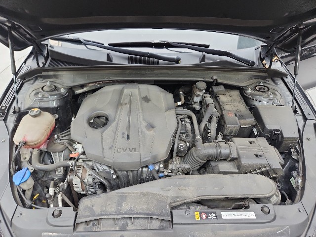 lotterental_135256576_S1vu8_1.jpg