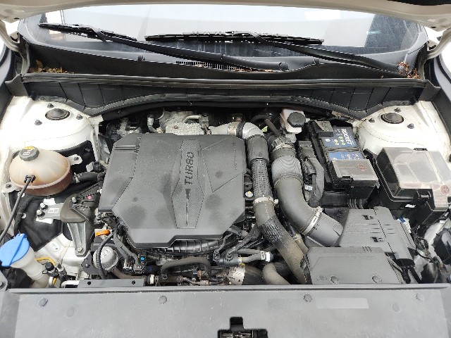 lotterental_17131391_b9uTz_1.jpg