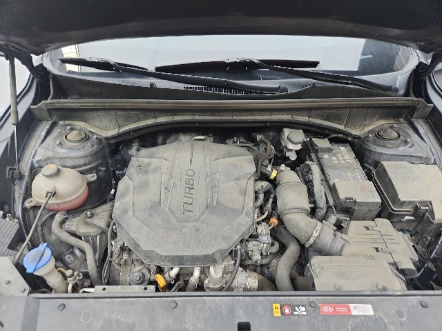 lotterental_213031596_xVMK8_3.jpg