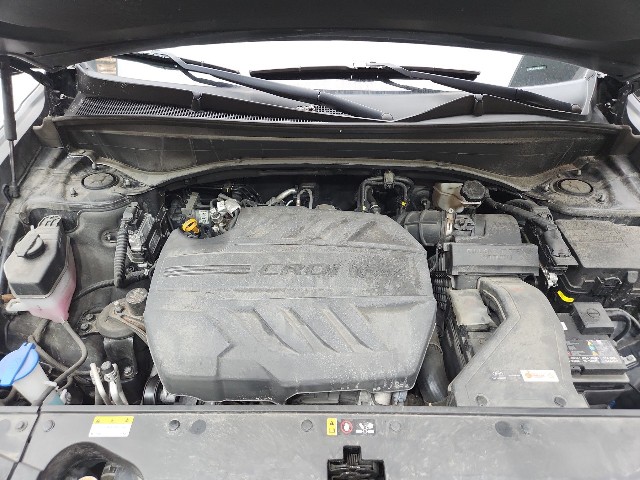 lotterental_210310487_TxZge_10.jpg