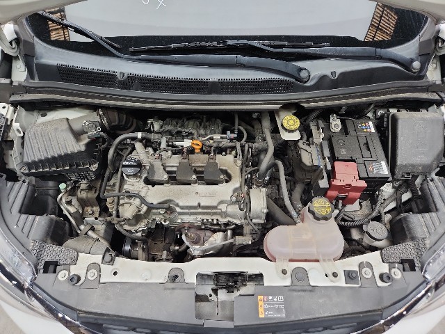 lotterental_090814199_27oux_1.jpg
