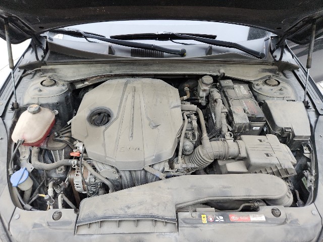 lotterental_202356290_ZmdWm_10.jpg