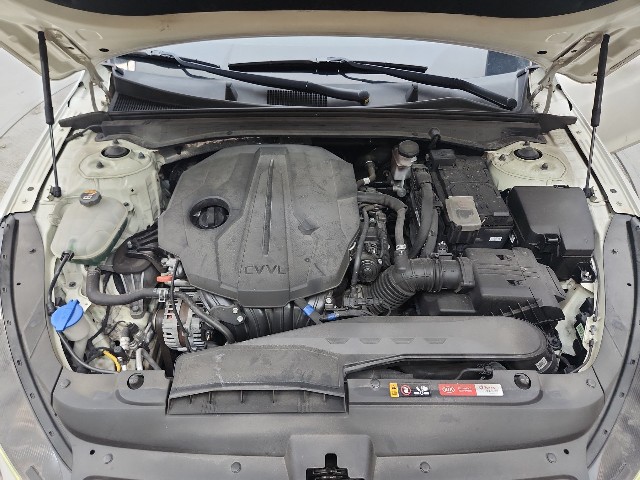 lotterental_153325710_cPIWw_2.jpg