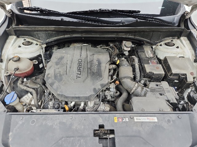 lotterental_211602969_lISTW_1.jpg