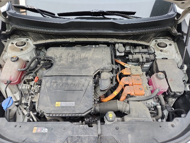 lotterental_214643192_Pfv6O_1.jpg