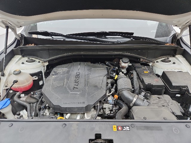 lotterental_224218465_uYRm9_10.jpg