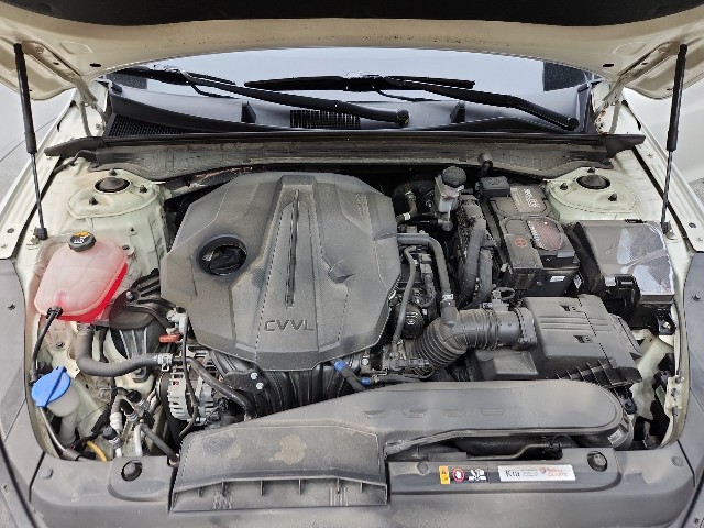 lotterental_111122689_WVPiO_1.jpg