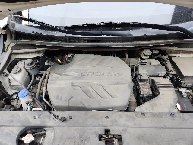 lotterental_135558457_rBOqH_10.jpg