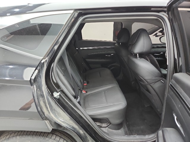 lotterental_20485158_WcY0j_3.jpg