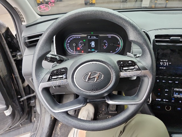 lotterental_205033736_o6MJ4_3.jpg