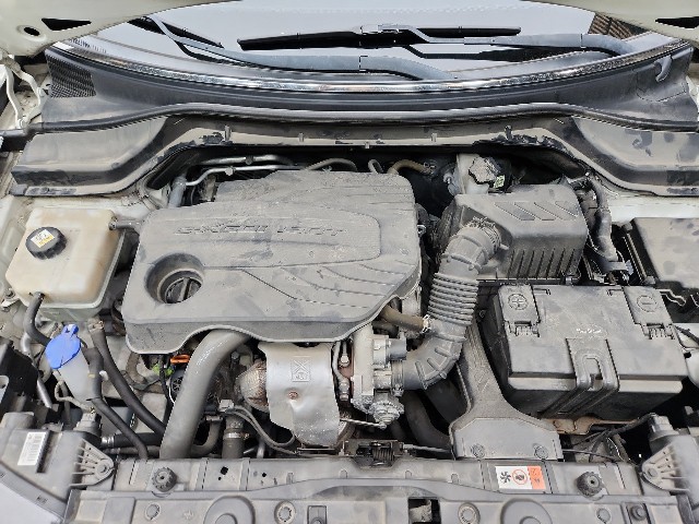 lotterental_151408509_nOv4f_10.jpg