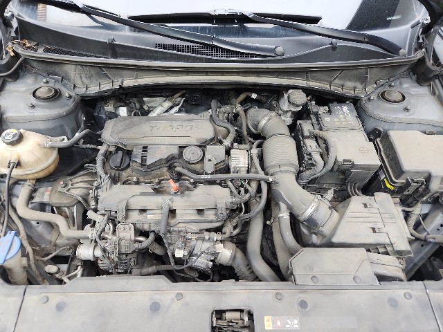 lotterental_154244977_ATTZt_10.jpg