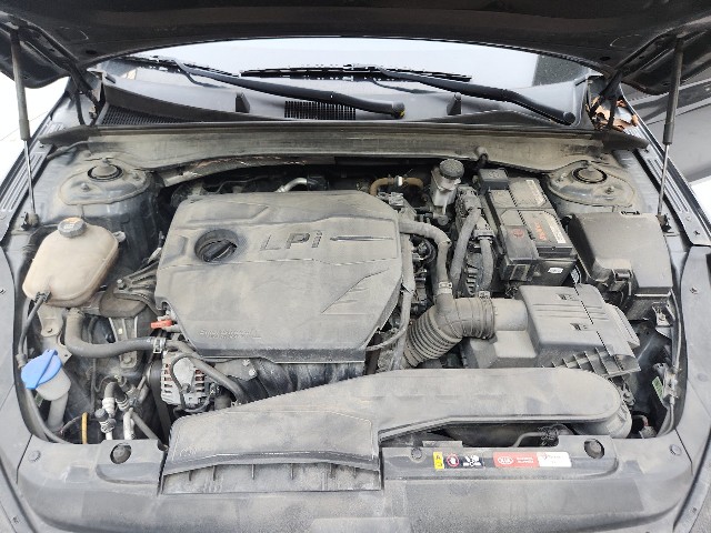 lotterental_221229209_keYD3_3.jpg