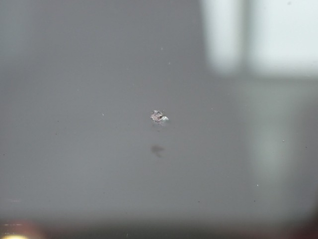 2478f93d6c846e502f7671c701802fa5.jpeg