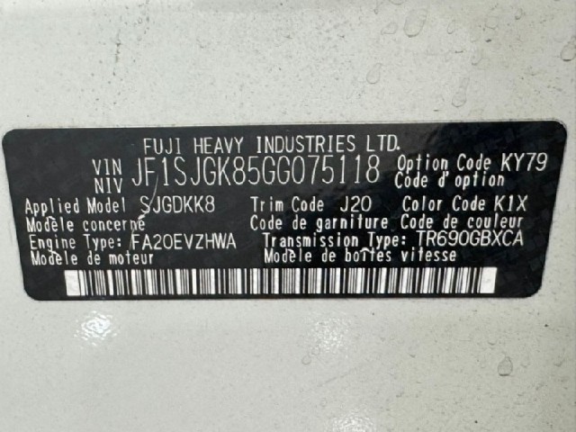 f3d4342286155086bc546084e9f8c826.jpeg