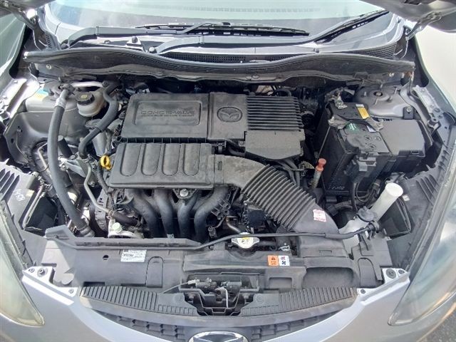 08.jpg